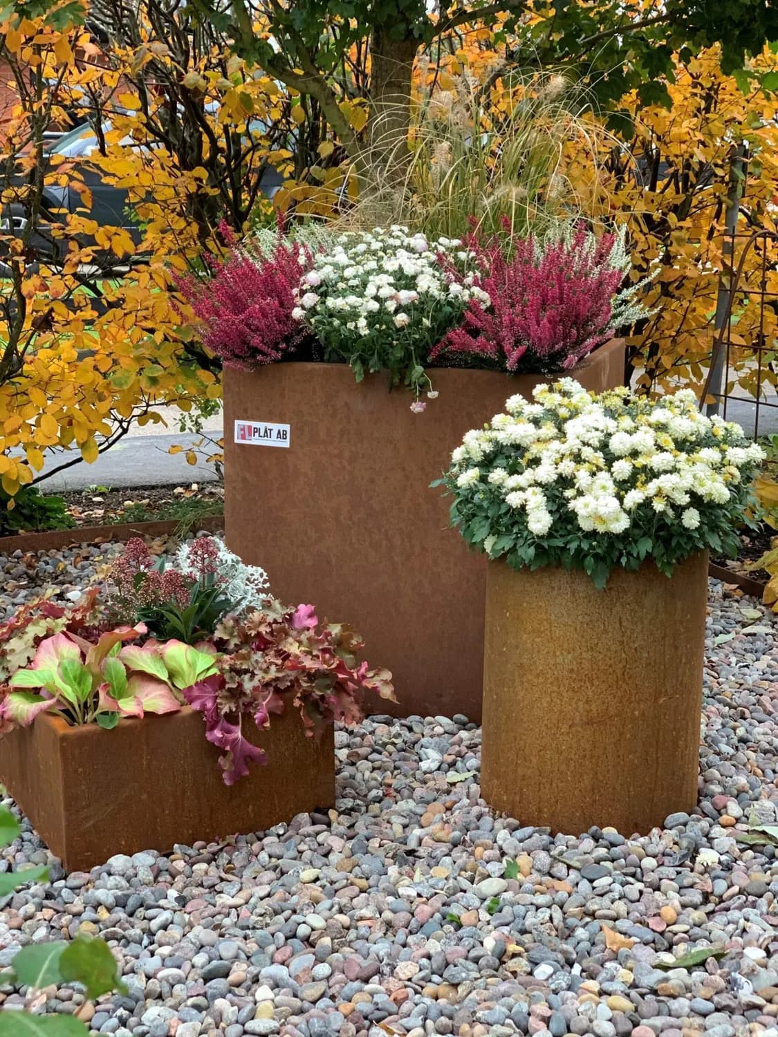 Krukor i corten planterade med ljung och krysantemum om hösten. Bild 16 av 22