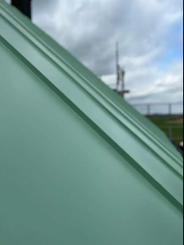 Ärggrön bandtäckning i närbild mot molnig himmel. Bild 21 av 62