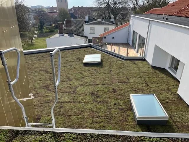 Sedumtak med takfönster och räcken, utsikt över Höganäs tak. Bild 8 av 21